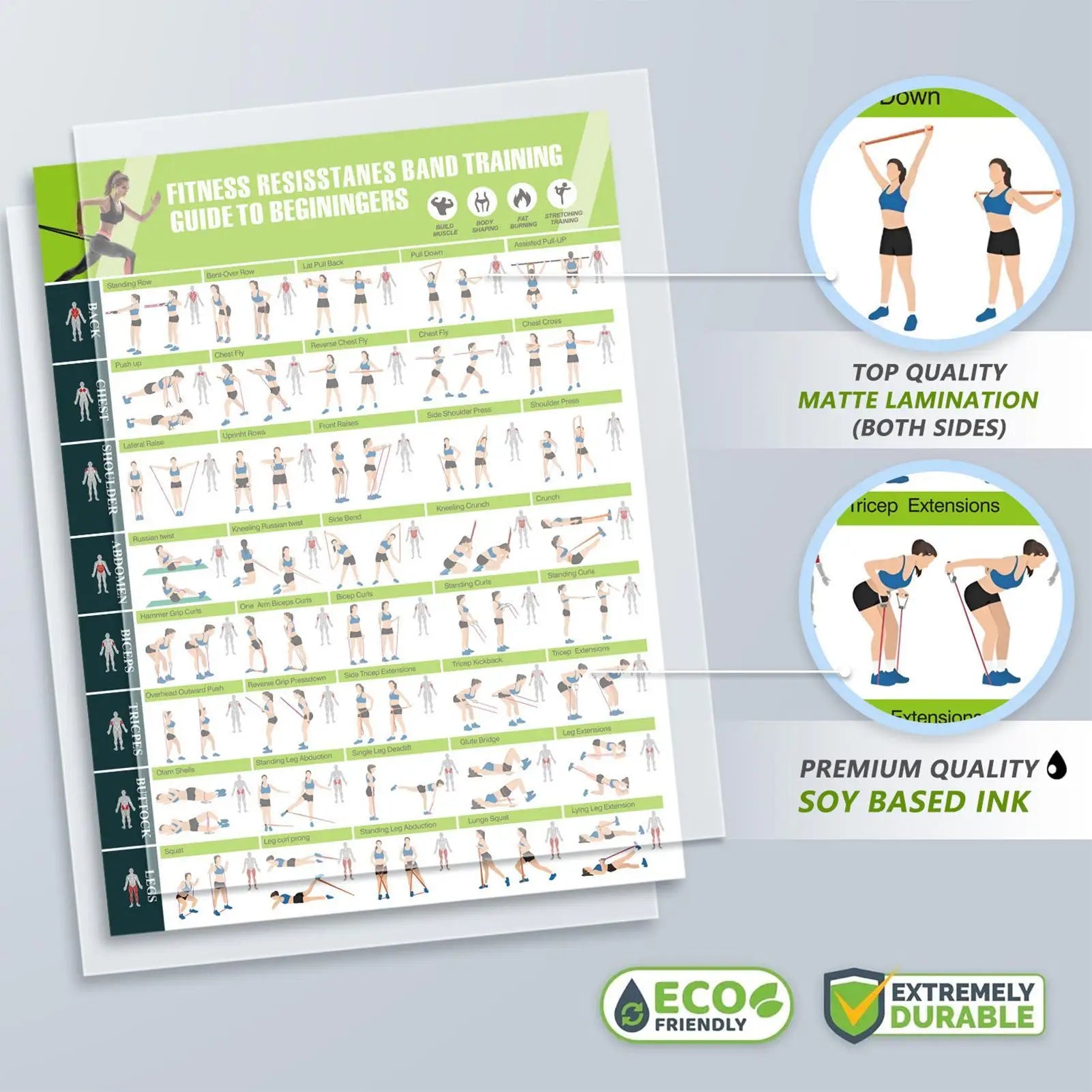 Exercise Chart Resistance Bands Guide Planner Guide Gym Decor Womens Strength Training for Muscle Building Stretching Yoga