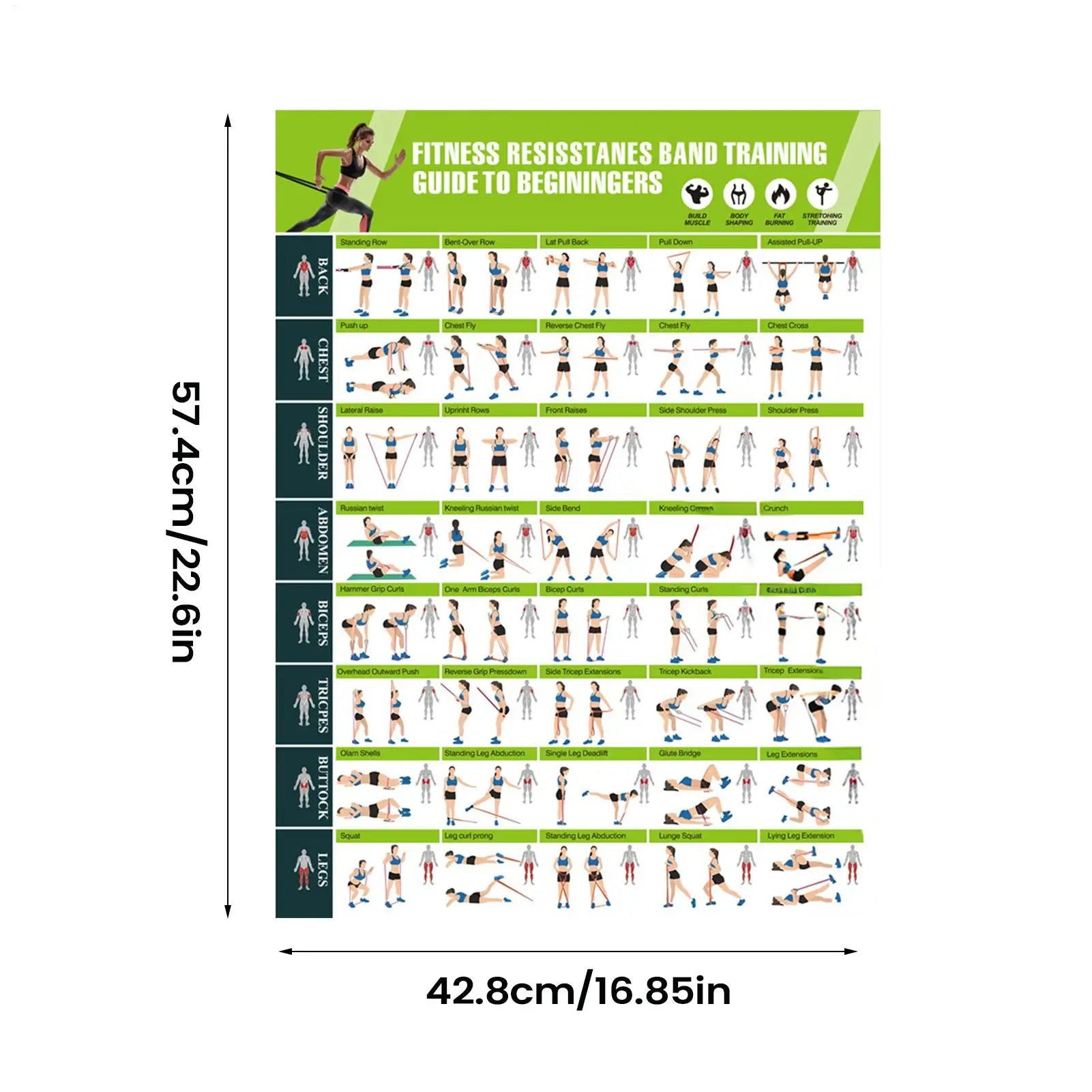 Exercise Chart Resistance Bands Guide Planner Guide Gym Decor Womens Strength Training for Muscle Building Stretching Yoga